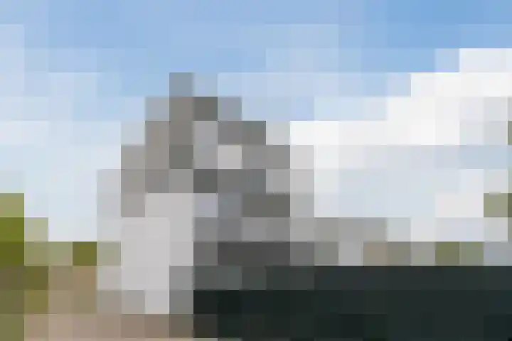 Weldam 54 B Haarlem thumbnail 28