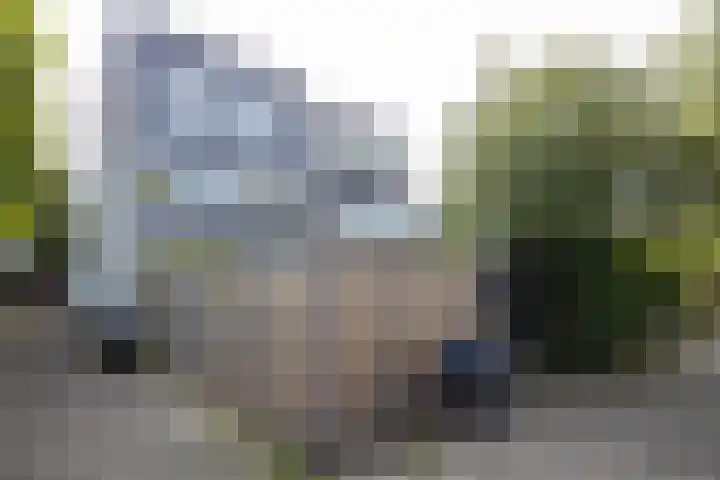 Weldam 72 A Haarlem thumbnail 19