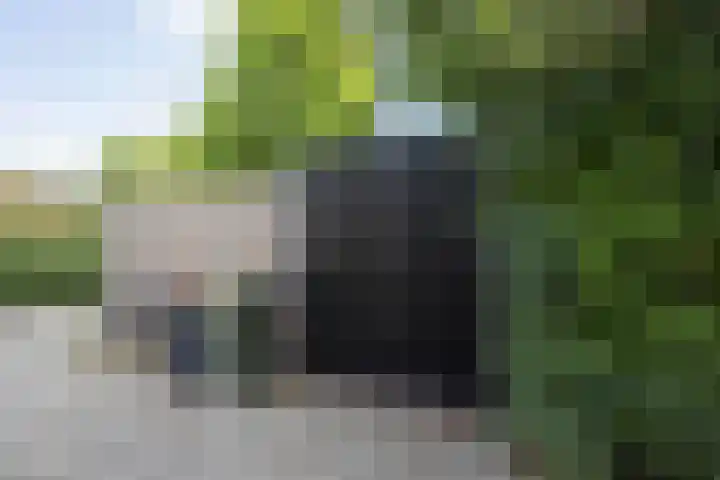 Weldam 72 A Haarlem thumbnail 20