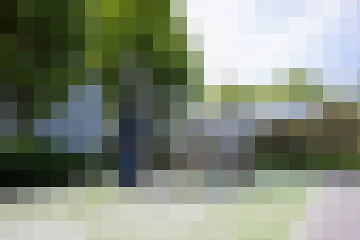 Weldam 72 A Haarlem thumbnail 21