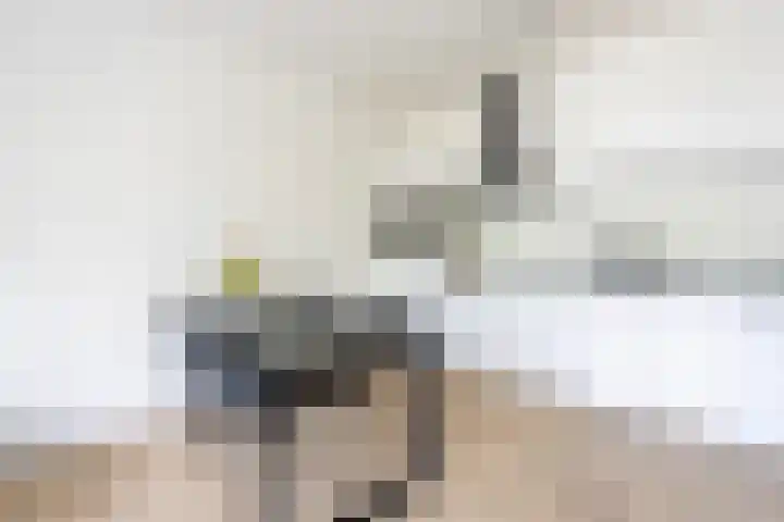 Weldam 72 A Haarlem thumbnail 8