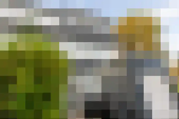 Weldam 72 B Haarlem thumbnail 22