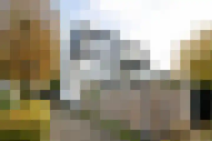Weldam 72 B Haarlem thumbnail 23