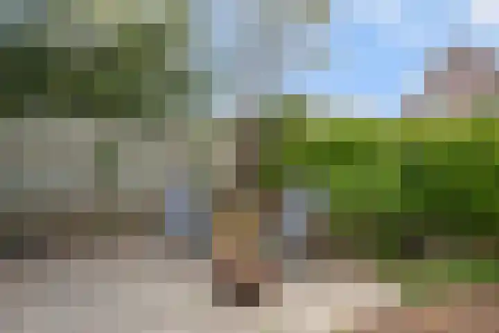 Weldscamp 2 Zevenaar thumbnail 13