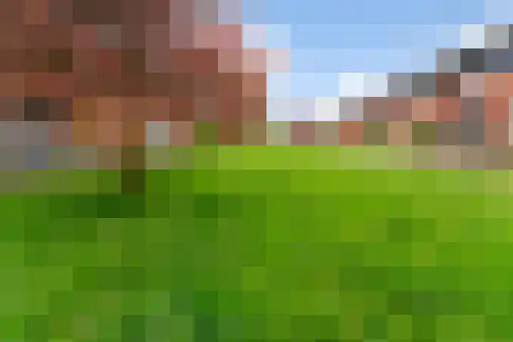Weldscamp 2 Zevenaar thumbnail 28