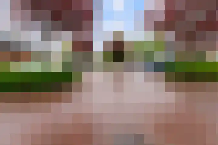 Weldscamp 2 Zevenaar thumbnail 29