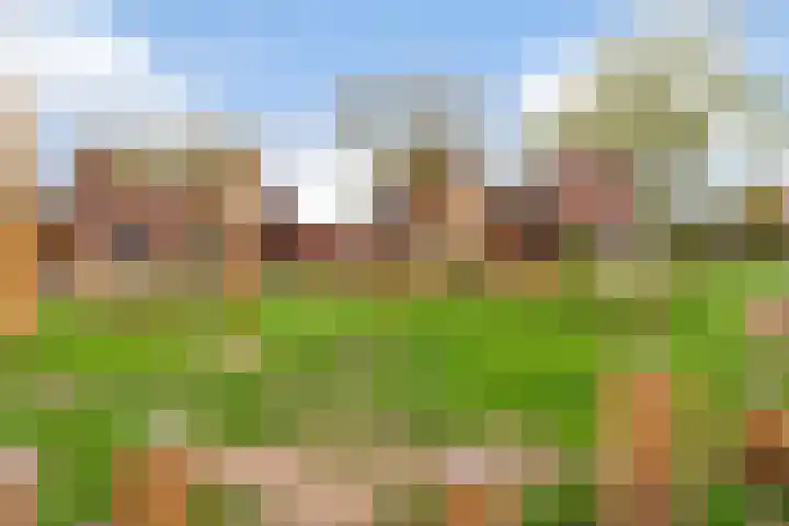 Weldscamp 2 Zevenaar thumbnail 30