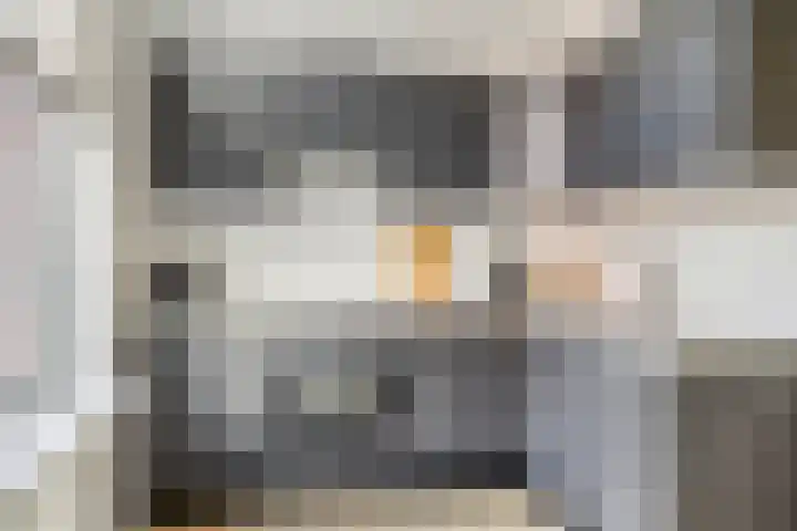 Welemanstraat 88 Borne thumbnail 14