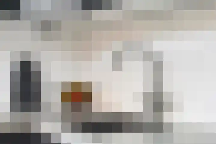 Welemanstraat 88 Borne thumbnail 16