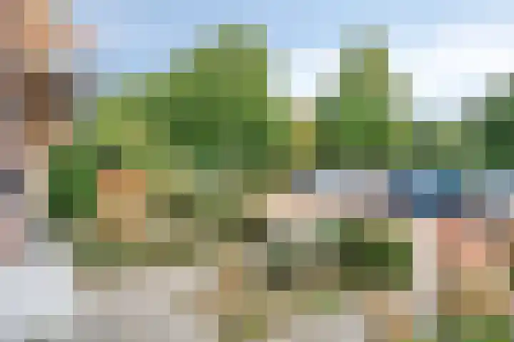 Welemanstraat 88 Borne thumbnail 36