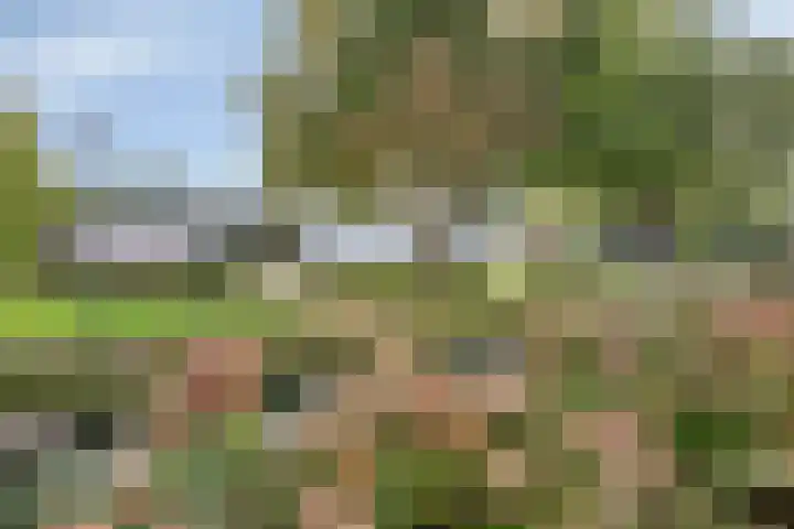 Welemanstraat 88 Borne thumbnail 38