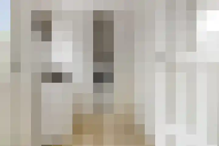 Welheugte 17 Assen thumbnail 15
