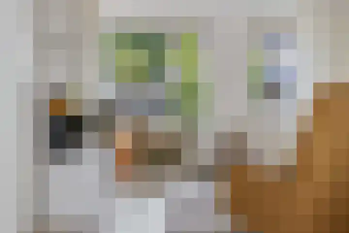 Welheugte 17 Assen thumbnail 16
