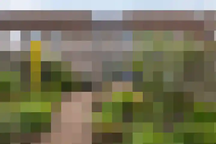 Welheugte 17 Assen thumbnail 38