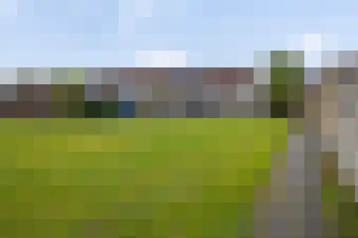 Welheugte 17 Assen thumbnail 41