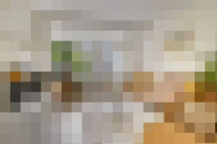 Welheugte 17 Assen thumbnail 5