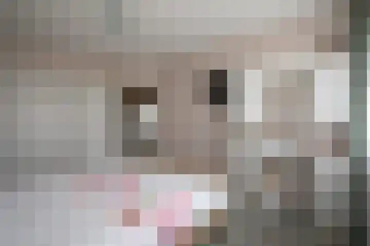 Well 9 Almelo thumbnail 31