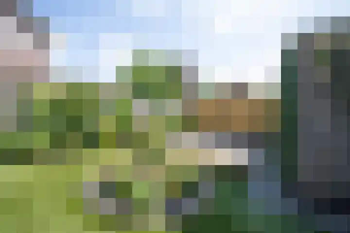 Well 9 Almelo thumbnail 47