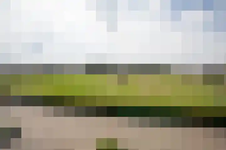 Well 9 Almelo thumbnail 50
