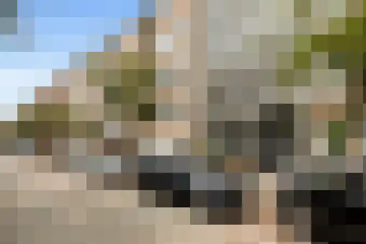 Well 9 Almelo thumbnail 53