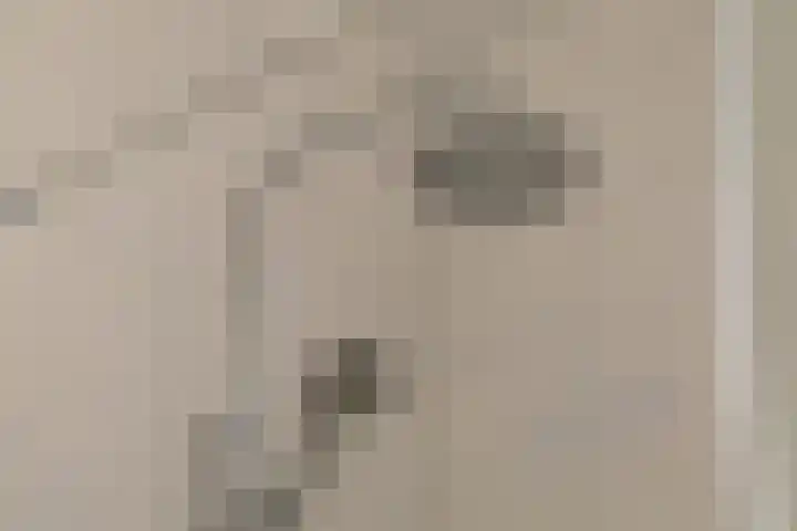 Welle 2 E Koudekerke thumbnail 16