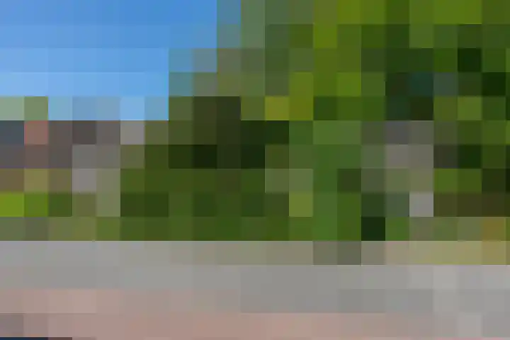 Welle 2 E Koudekerke thumbnail 22