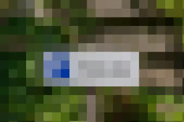 Welle 2 E Koudekerke thumbnail 23