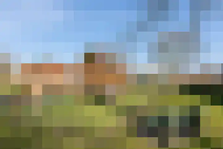 Welle 2 E Koudekerke thumbnail 27