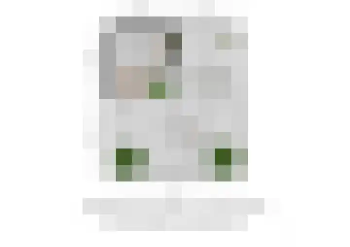 Welle 2 E Koudekerke thumbnail 34