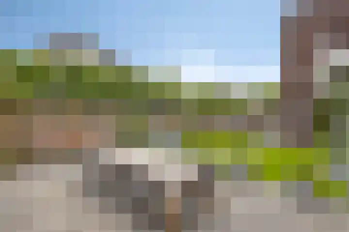 Welle 2 Veldhoven thumbnail 35