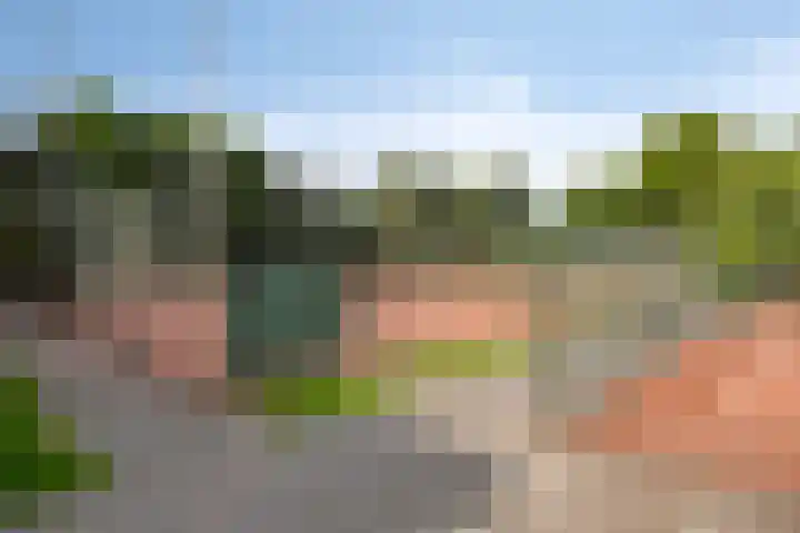 Welle 2 Veldhoven thumbnail 46