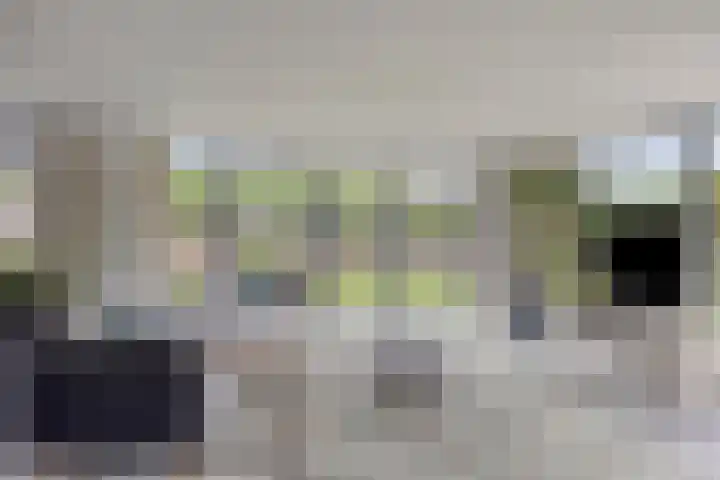 Welle 2 Veldhoven thumbnail 9