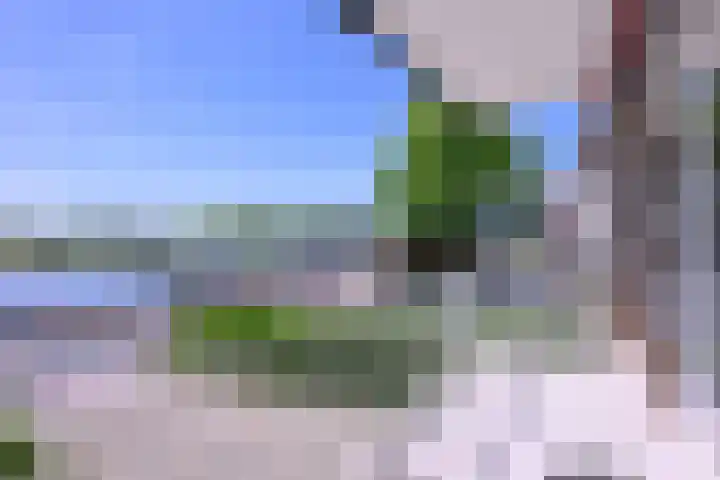 Welle 22 Deventer thumbnail 11