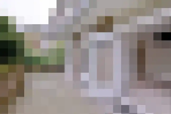 Welle 22 Deventer thumbnail 14