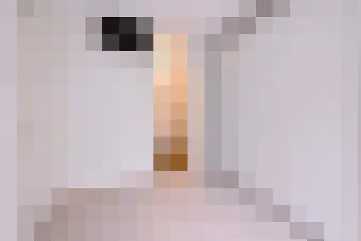 Welle 22 Deventer thumbnail 16