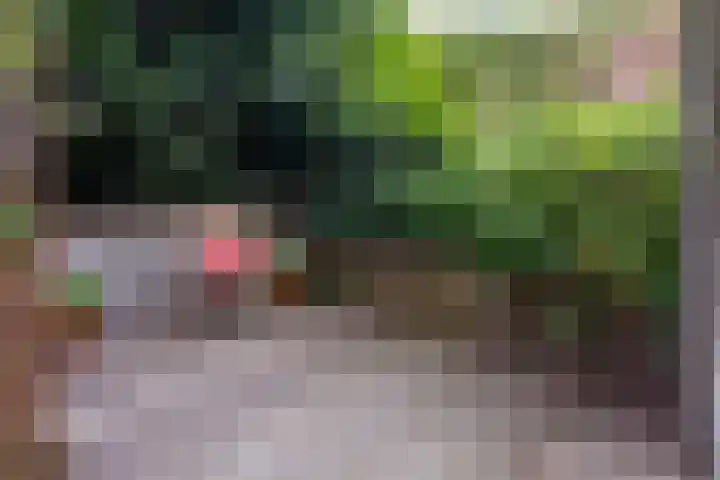 Welle 22 Deventer thumbnail 20