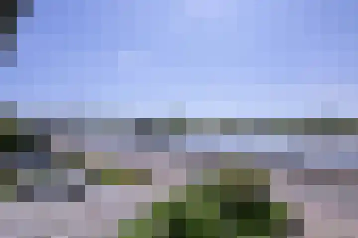 Welle 22 Deventer thumbnail 22