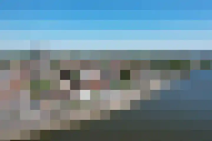 Welle 22 Deventer thumbnail 24