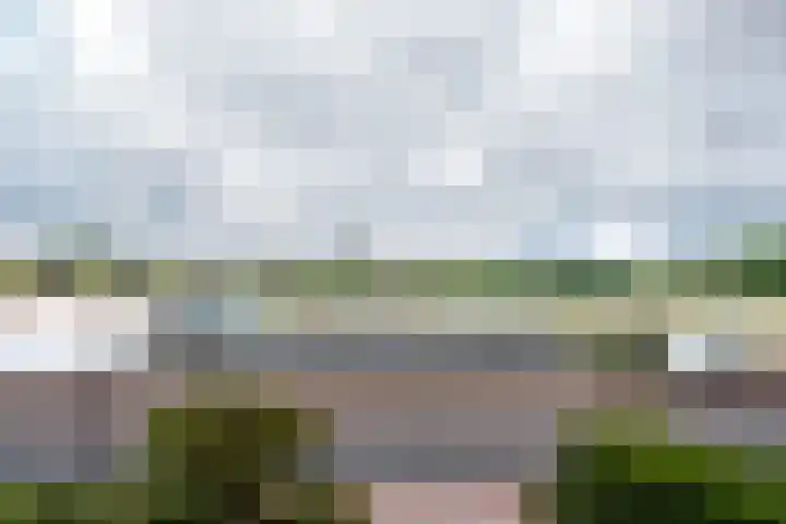 Welle 22 Deventer thumbnail 27