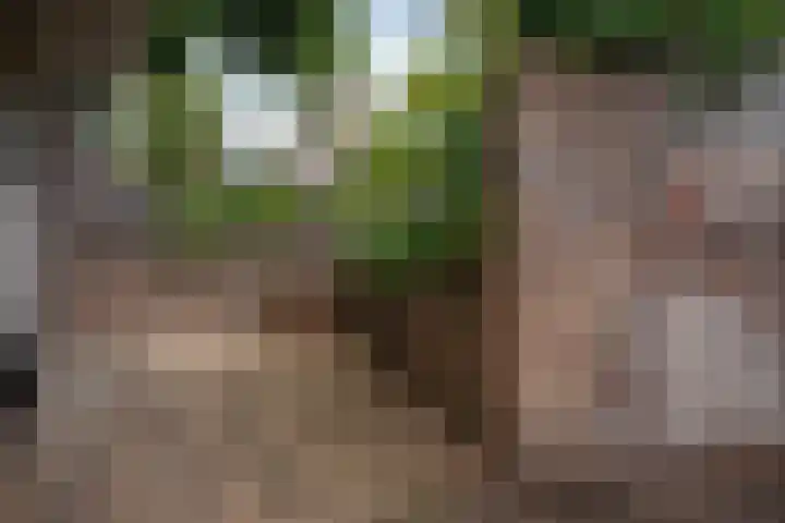 Welle 22 Deventer thumbnail 4