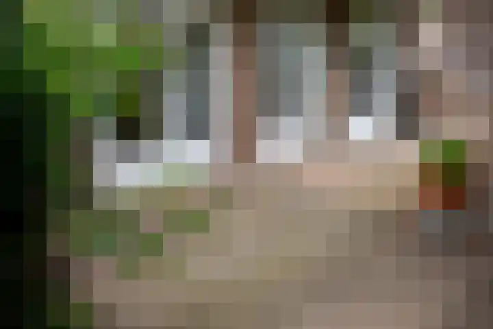 Welle 22 Deventer thumbnail 5