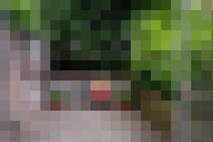 Welle 22 Deventer thumbnail 6