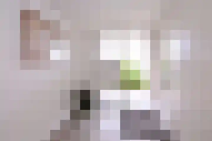 Welle 22 Deventer thumbnail 7