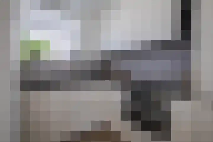 Wellensteinlaan 26 Arnhem thumbnail 13