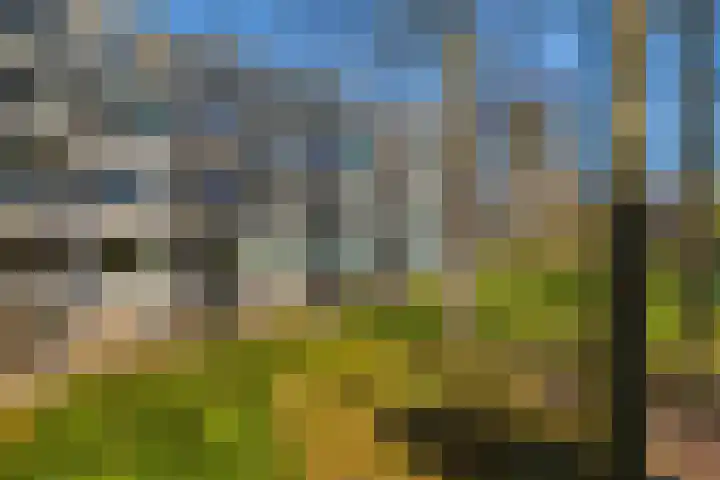 Wellensteinlaan 26 Arnhem thumbnail 22