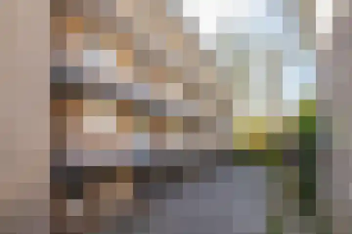 Wellensteinlaan 26 Arnhem thumbnail 24