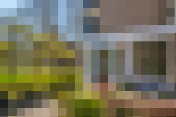 Wellensteinlaan 26 Arnhem thumbnail 25