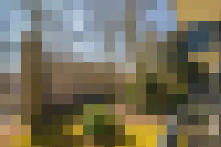 Wellensteinlaan 26 Arnhem thumbnail 31
