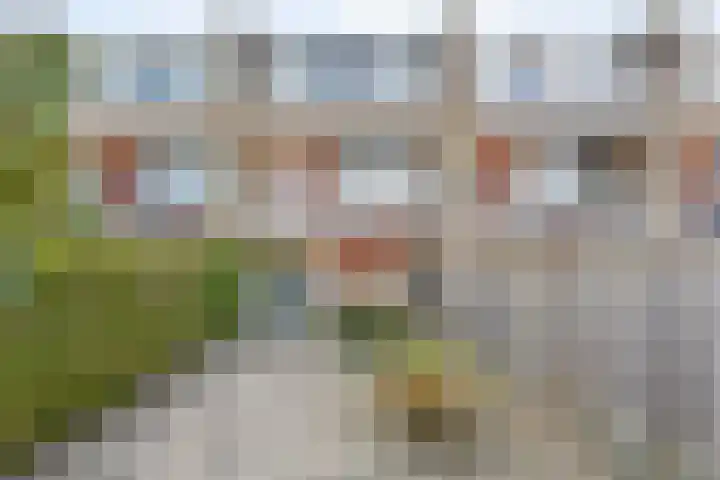 Welleweg 24 Brielle thumbnail 30