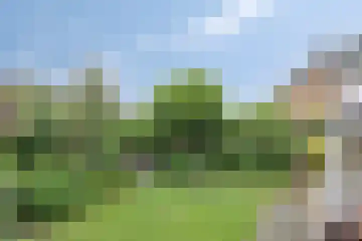 Welleweg 44 Brielle thumbnail 28